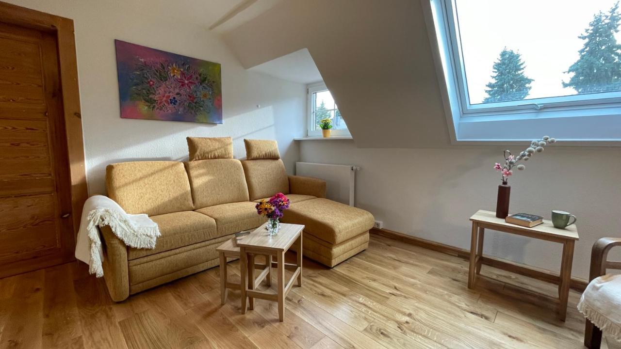 Carolinga Apartment เดรสเดน ภายนอก รูปภาพ