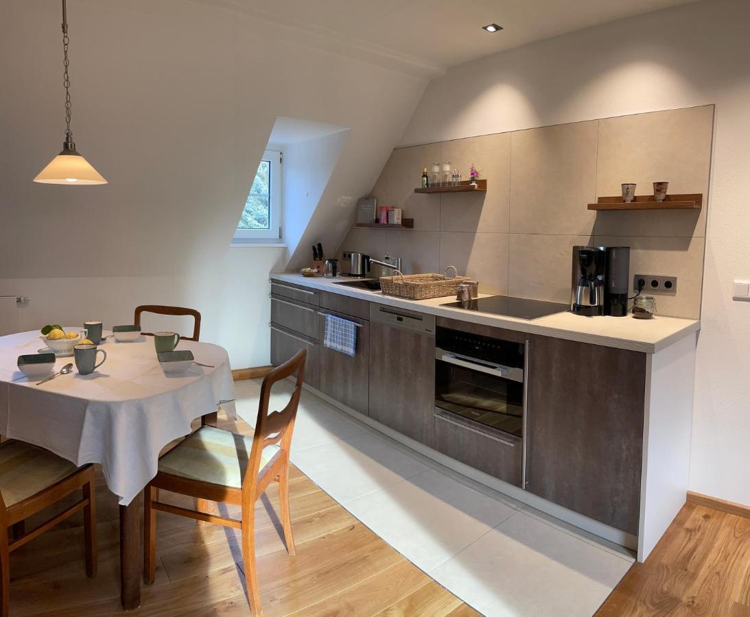 Carolinga Apartment เดรสเดน ภายนอก รูปภาพ