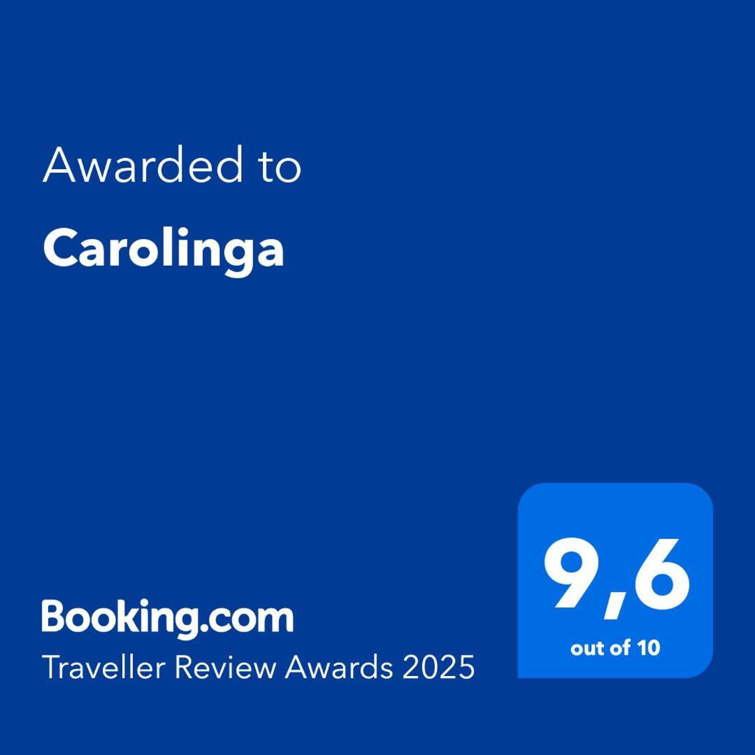 Carolinga Apartment เดรสเดน ภายนอก รูปภาพ
